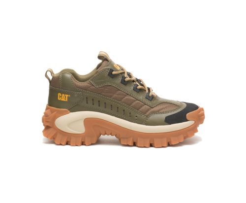 Caterpillar CAT Intruder Shoe Fritidssko Herre Mørke Olivengrønne Brune | CAT-460BA