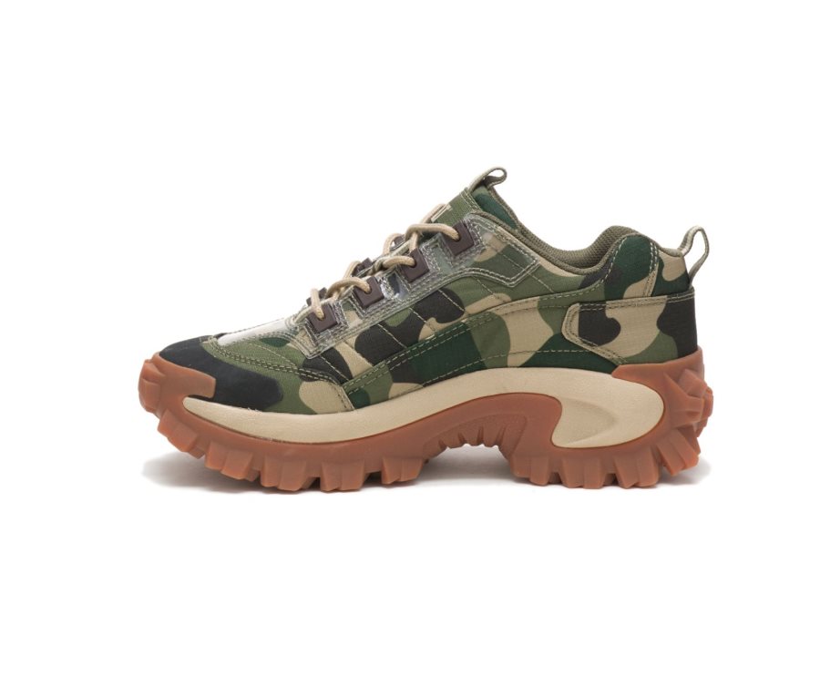 Caterpillar CAT Intruder Shoe Fritidssko Herre Camouflage | CAT-019HG