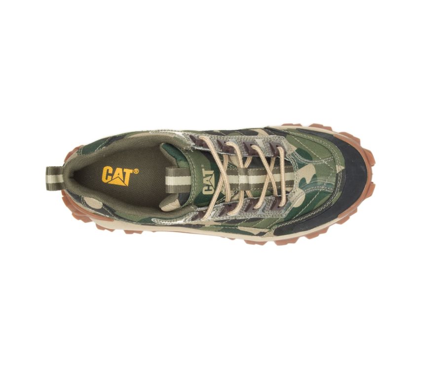 Caterpillar CAT Intruder Shoe Fritidssko Herre Camouflage | CAT-019HG