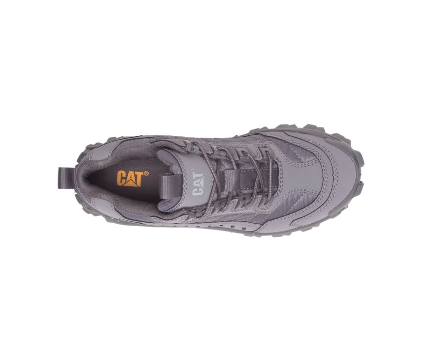 Caterpillar CAT Intruder Shoe Fritidssko Herre Grå | CAT-078MU