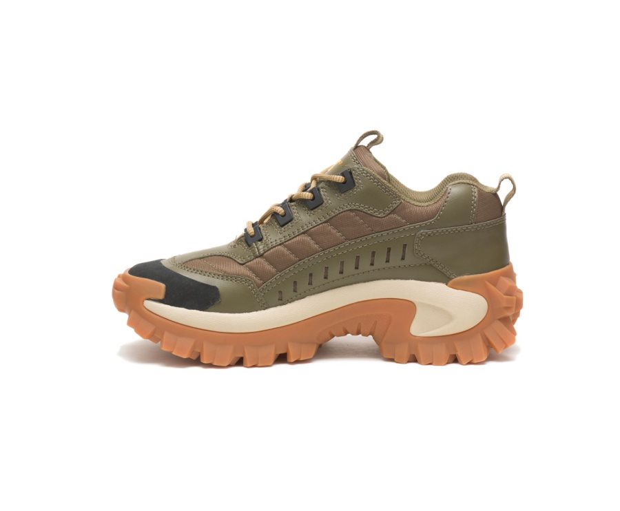 Caterpillar CAT Intruder Shoe Fritidssko Dame Mørke Olivengrønne Brune | CAT-096OK