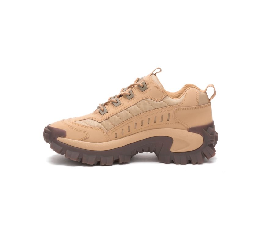 Caterpillar CAT Intruder Shoe Fritidssko Dame Brune | CAT-139GK