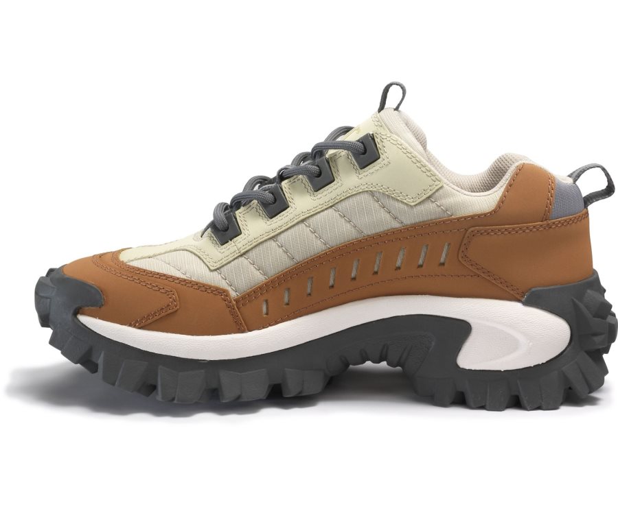 Caterpillar CAT Intruder Shoe Fritidssko Herre Brune Beige | CAT-183YQ