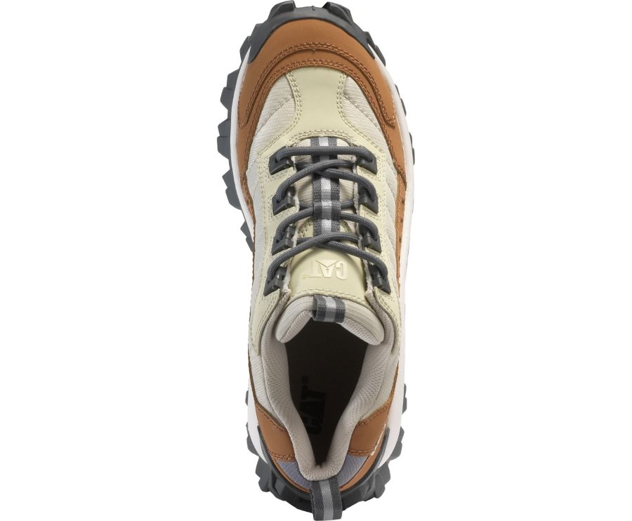 Caterpillar CAT Intruder Shoe Fritidssko Herre Brune Beige | CAT-183YQ