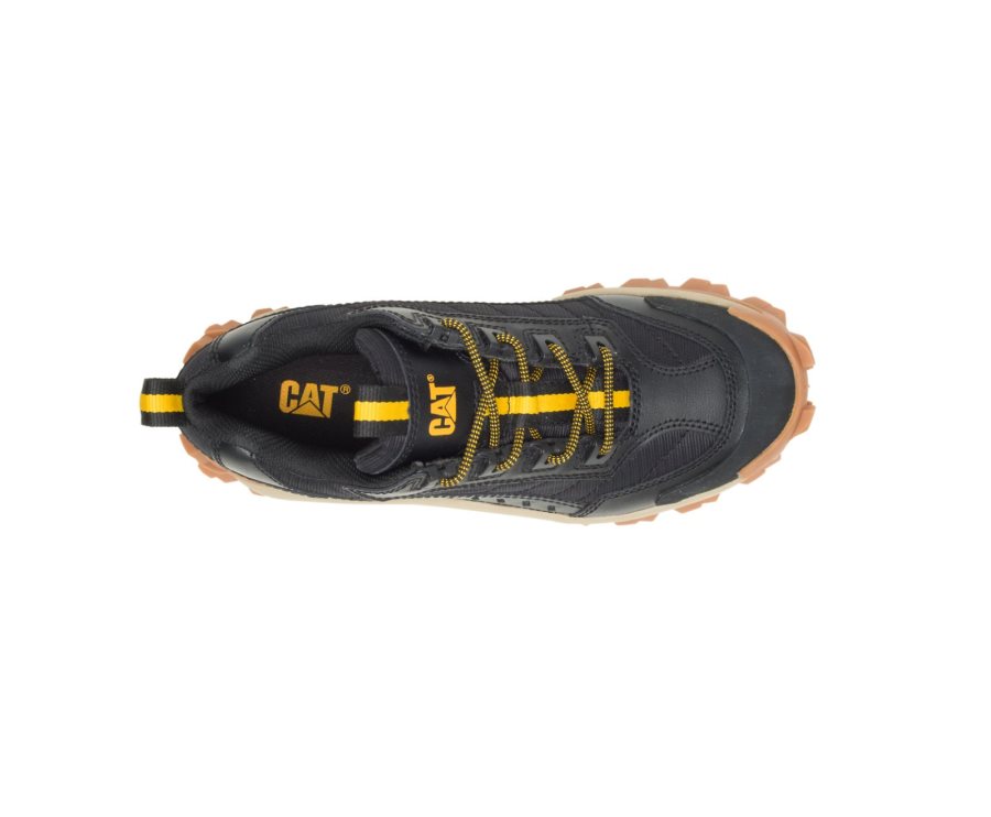 Caterpillar CAT Intruder Shoe Fritidssko Dame Svarte Brune | CAT-234PG