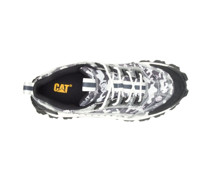 Caterpillar CAT Intruder Shoe Fritidssko Dame Svarte Camouflage | CAT-364VY