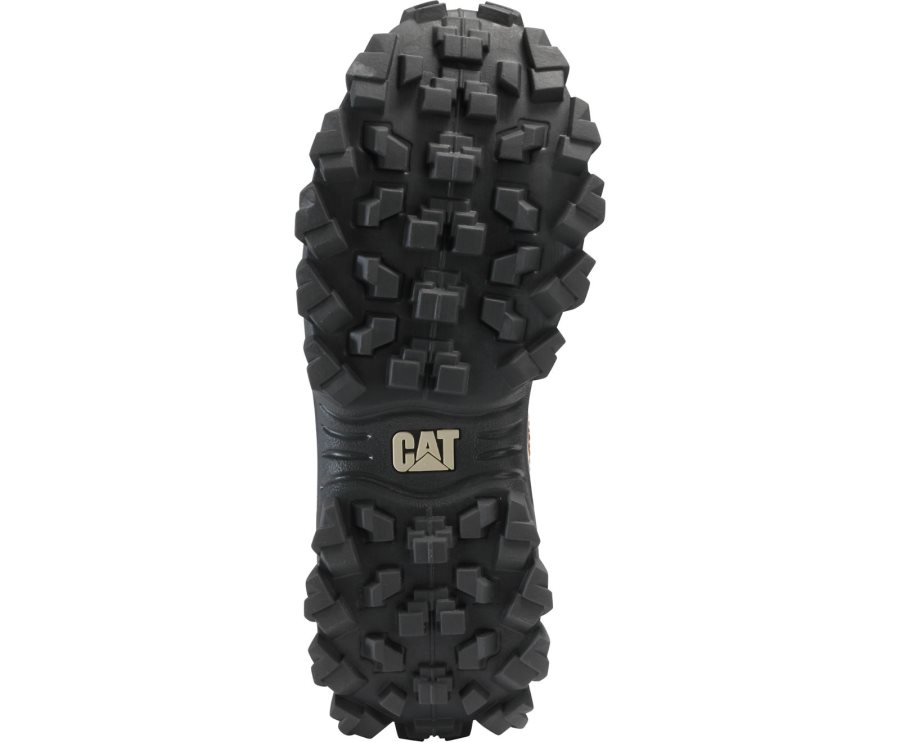 Caterpillar CAT Intruder Shoe Fritidssko Dame Brune Beige | CAT-408SM