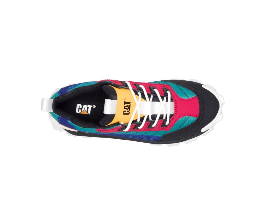 Caterpillar CAT Intruder Shoe Fritidssko Dame Svarte Multicolor | CAT-504TE