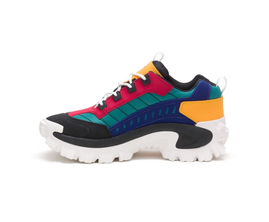 Caterpillar CAT Intruder Shoe Fritidssko Herre Svarte Multicolor | CAT-734LQ